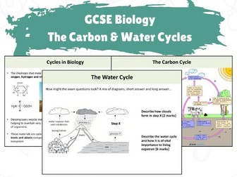 GCSE Biology - The Carbon & Water Cycles