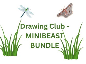 Drawing Club Bundle - Minibeasts