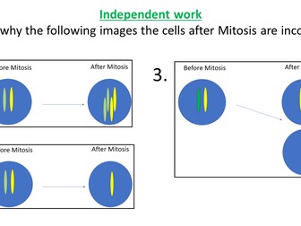 AQA GCSE Combined Science - Mitosis