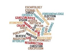 animal research essay laws