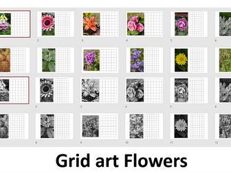Grid art worksheets- flowers