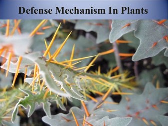 Plant defences