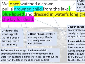 Cold Knap Lake by Gillian Clarke