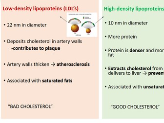 AS Biology Diet and Cardiovascular Health (international)