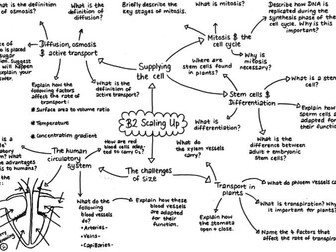 B2 Biology Revision Mindmap