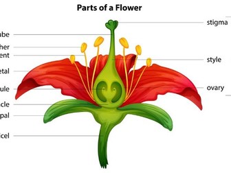 IGCSE Edexcel Biology chapter 13 revision notes