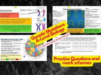 Genetic Mutations A level Biology