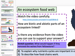 Food Chains, Webs and the nutrients cycle (KS3 links AQA 9-1