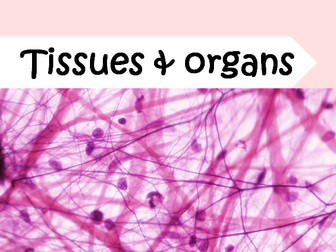 Tissues and organs