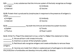 The Lymphatic and Immune Systems - Worksheet | Distance Learning