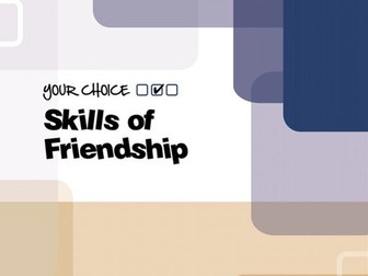 Skills of Friendships Programme