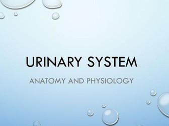 Urinary System Anatomy and Physiology POWER POINT