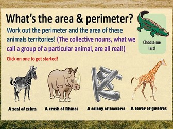 Area and Perimeter Animal Territory Interactive PowerPoint and Questions