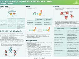 aqa biology a level coursework