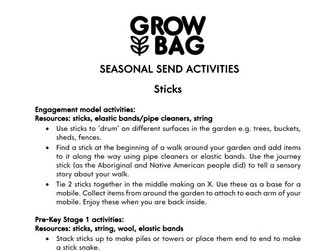 SEND activity - Sticks