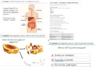 AQA Biology GCSE - Digestion and Absorption