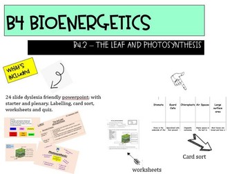 AQA NEW GCSE 9-1 TRILOGY B4.2 The Leaf and photosynthesis LOWER ABILITY