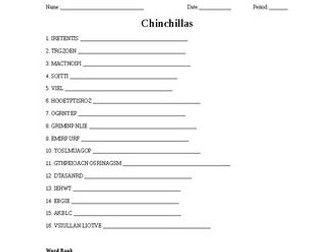 Chinchillas Word Scramble for Small Animal Science Students