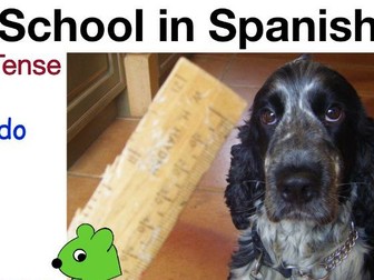 What I/We do at School in Spanish