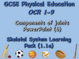 Skeletal System GCSE OCR PE (1.1a) Components of joints PowerPoint