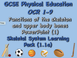 Skeletal System GCSE OCR PE (1.1a) Functions of the skeletal system and upper body bones PowerPoint