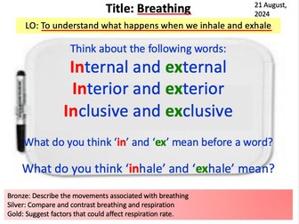 Year 8 Science Biology - Breathing