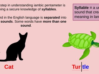 Iambic Pentameter Lesson