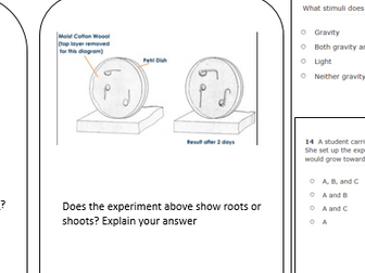 gravitropism (geotropism) and phototropism worksheet AQA Biology GCSE 1-9