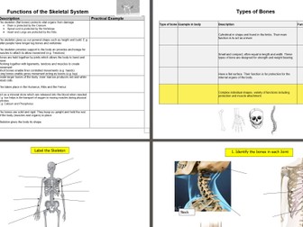 AQA GCSE PE Anatomy and Physiology Complete Resource
