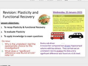 Plasticity and Functional Recovery Revision Lesson