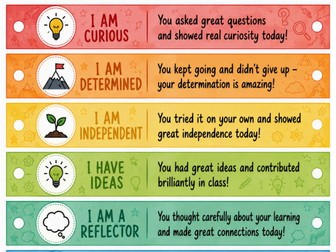Brag Tag Wrist Bands for reinforcing positive behaviour