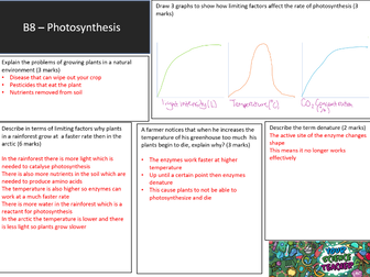 AQA GCSE 9-1 B8 Photosynthesis Revision Mat