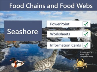 Food Chains and Food Webs - Seashore