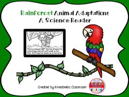 Rainforest Animal Adaptations - A Science Reader