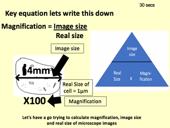AQA Magnification Calculations