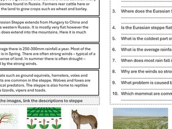 KS3 Russia homework / revision booklet / Geography
