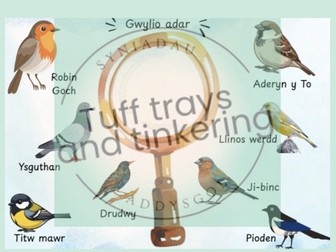 gwylio adar magnifying glass birdwatch cynfnod sylfaen foundation phase welsh ps1