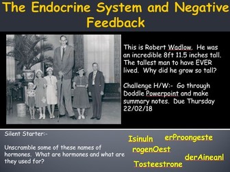 AQA Trilogy Biology B5.3 - The Endocrine System and Negative Feedback