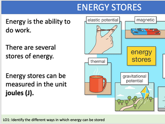 Energy stores and pathways