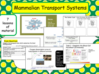 IAL Mammalian Transport Systems