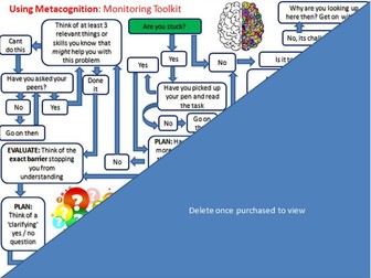 Metacognition: Flow Chart Toolkit