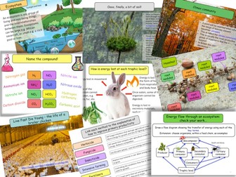 Ecosystems NEW AlevelTransfer of biomass; Manipulating transfer; Recycling in ecosystems; Succession