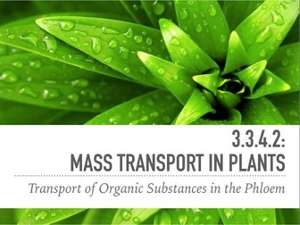 Mass Transport in Plants A-Level Biology