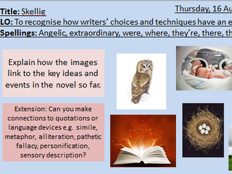Skellig - Almond - Entire Powerpoint of lessons and Scheme of Work