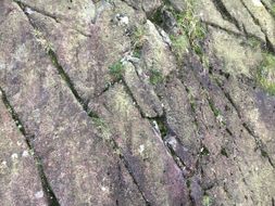 Geology Rocks