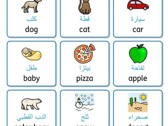 Noun and Adjective Matching Cards: English and Arabic