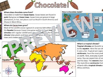 Chocolate Knowledge Organiser and Assessment Quiz