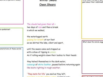 Winter Swans comprehension worksheet