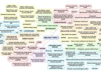 A-Level Biology topic mind map