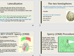 BIOPSYCHOLOGY Year 2 AQA Psychology - Full lesson and ...